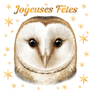 Hibou festif pour des joies de No&euml;l